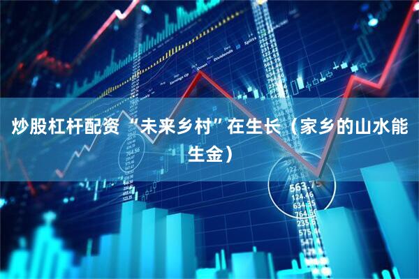 炒股杠杆配资 “未来乡村”在生长（家乡的山水能生金）